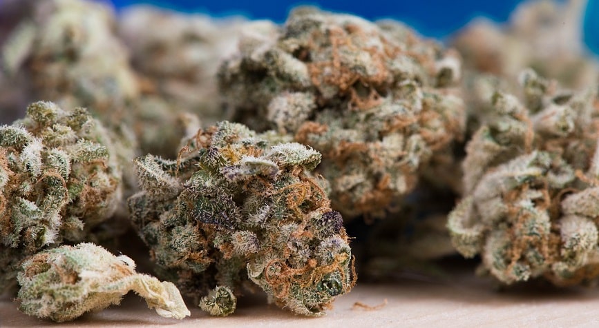 Best Weed Strains in California