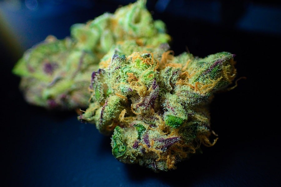 types of marijuana strains