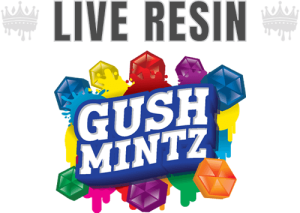 Gush Mintz Live REsin 1